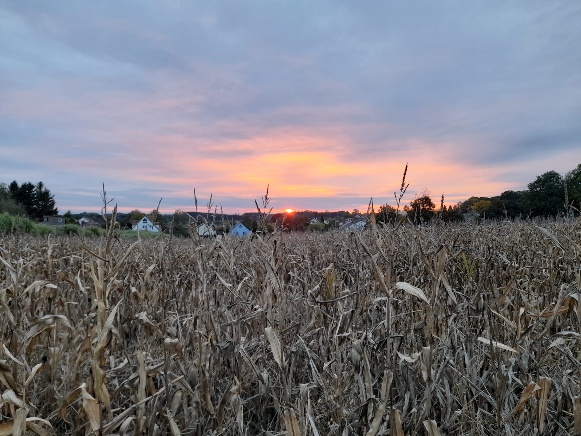 Sonnenuntergang