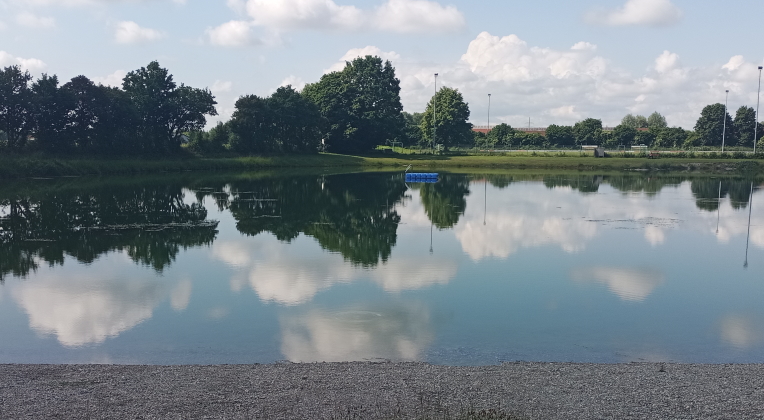 ACHTUNG BLAUALGEN
