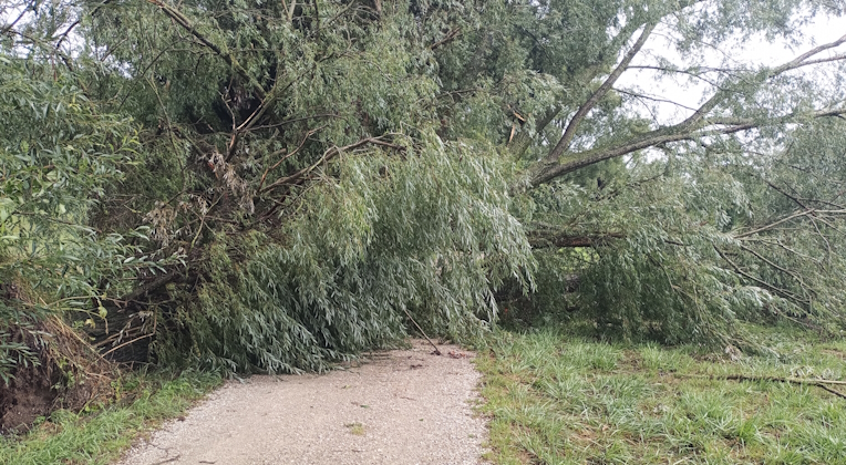 Leider haben wir keinen Alternativtext zu diesem Bild, aber wir arbeiten daran.