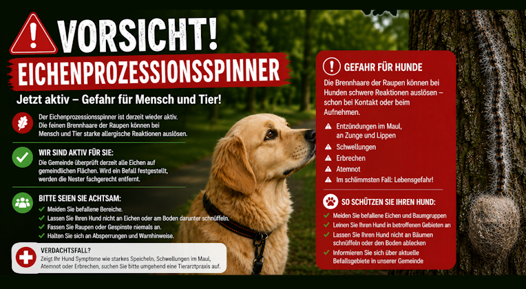Hunde Eichenprozessionsspinner